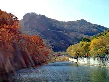 新澳天天开奖资料大全旅游团，决战荒岛